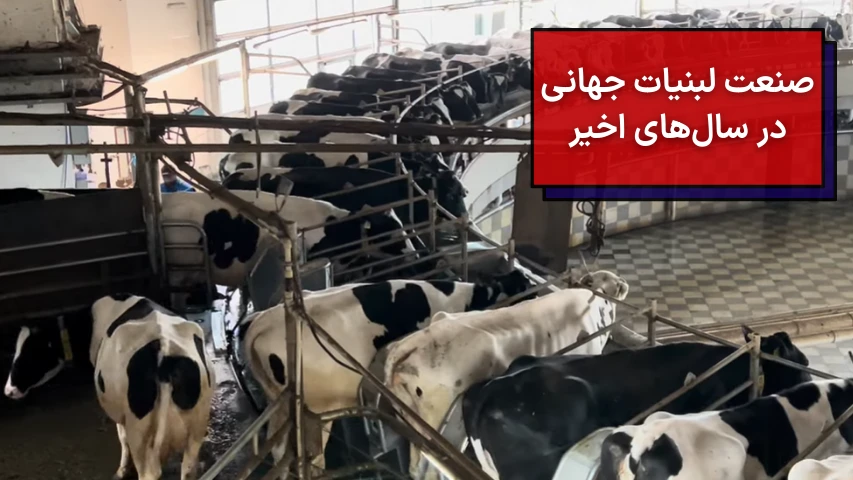 صنعت لبنیات جهانی در سال های اخیر