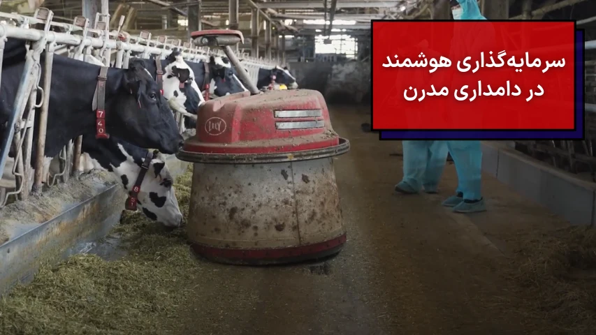 سرمایه‌ گذاری هوشمند در دامداری مدرن