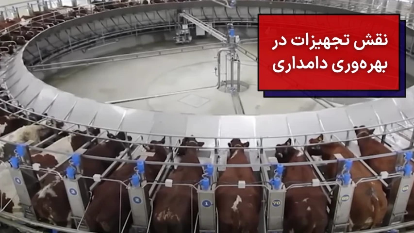نقش تجهیزات در بهره وری دامداری