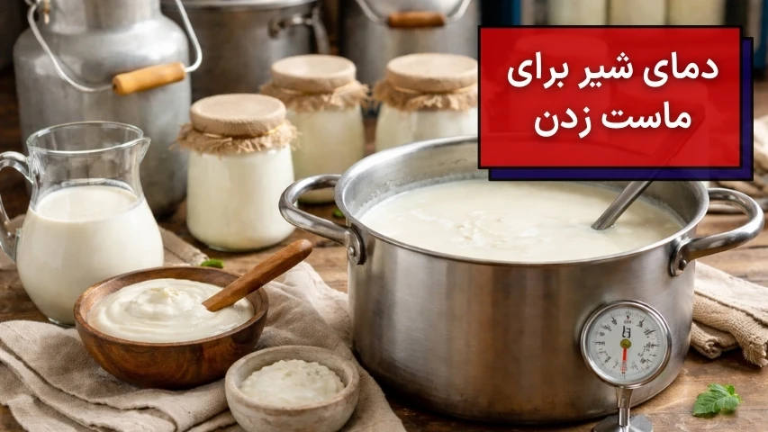 دمای شیر برای ماست زدن