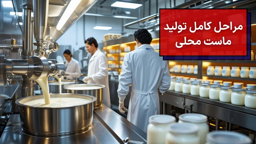 مراحل کامل تولید ماست محلی