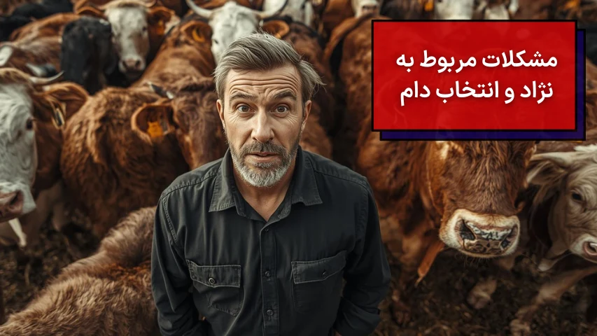 مشکلات مربوط به نژاد و انتخاب دام