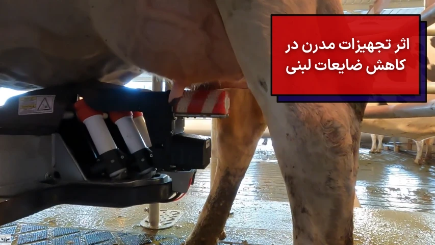 اثر تجهیزات مدرن در کاهش ضایعات لبنی