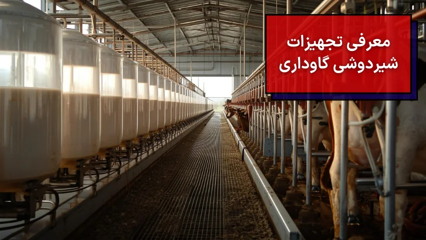 معرفی تجهیزات شیردوشی گاوداری