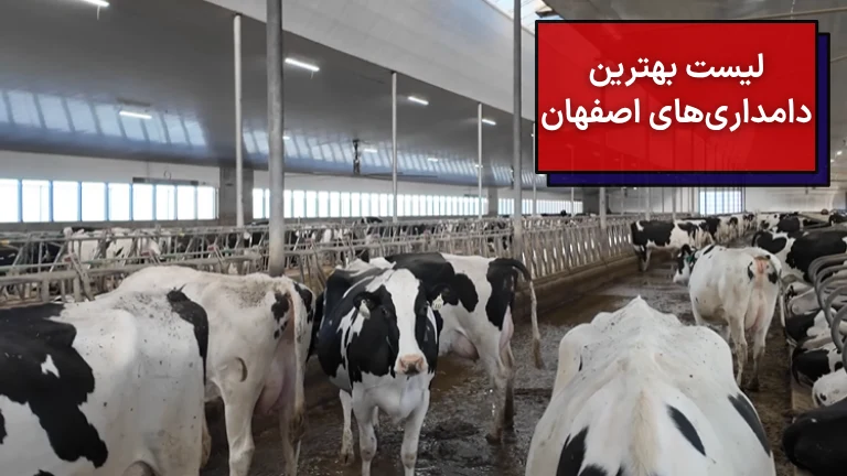 لیست بهترین دامداری های اصفهان