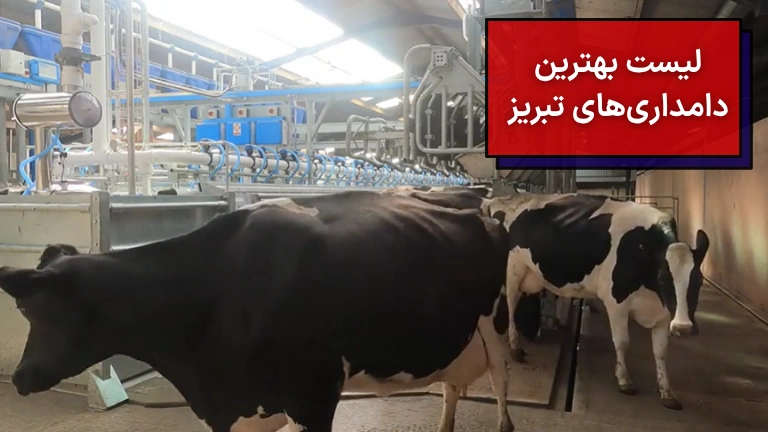 لیست بهترین دامداری های تبریز