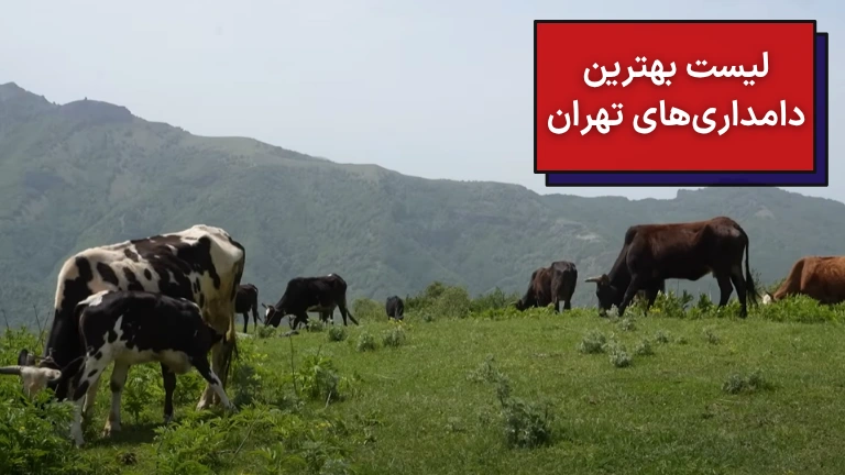 لیست بهترین دامداری های تهران