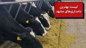 لیست بهترین دامداری های مشهد