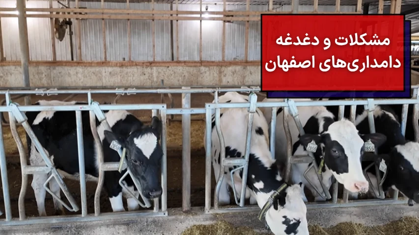 مشکلات و دغدغه دامداری های اصفهان