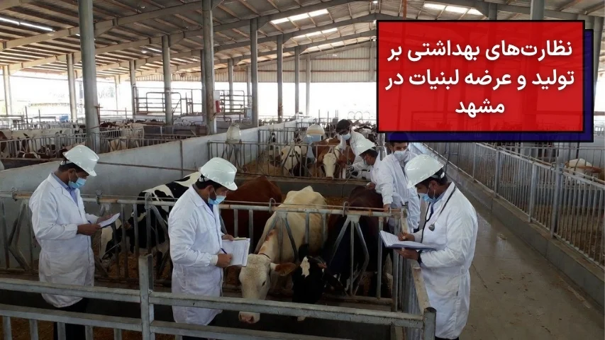 نظارت های بهداشتی بر تولید و عرضه لبنیات در مشهد