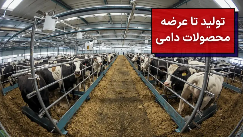تولید تا عرضه محصولات دامی