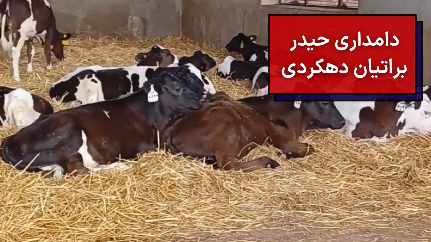 دامداری حیدر براتیان دهکردی