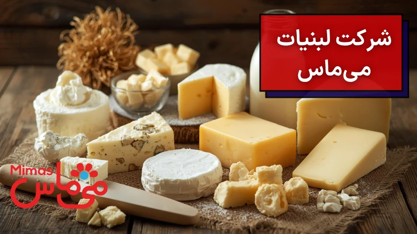 شرکت لبنیات می ماس