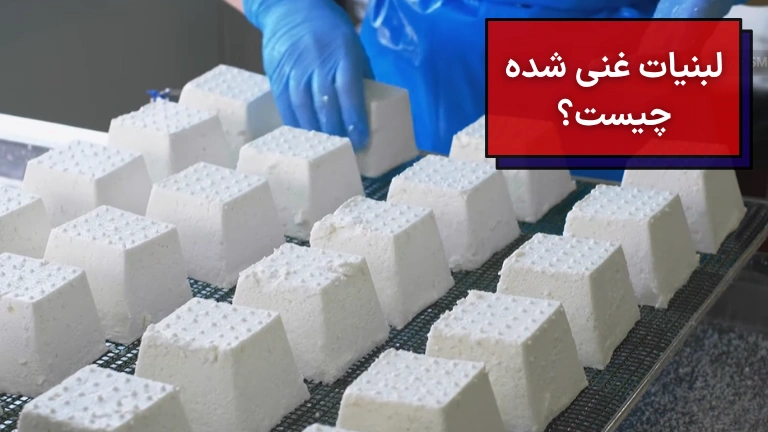 لبنیات غنی شده چیست؟