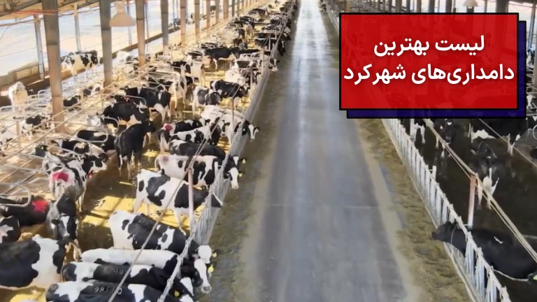 دامداری های شهرکرد