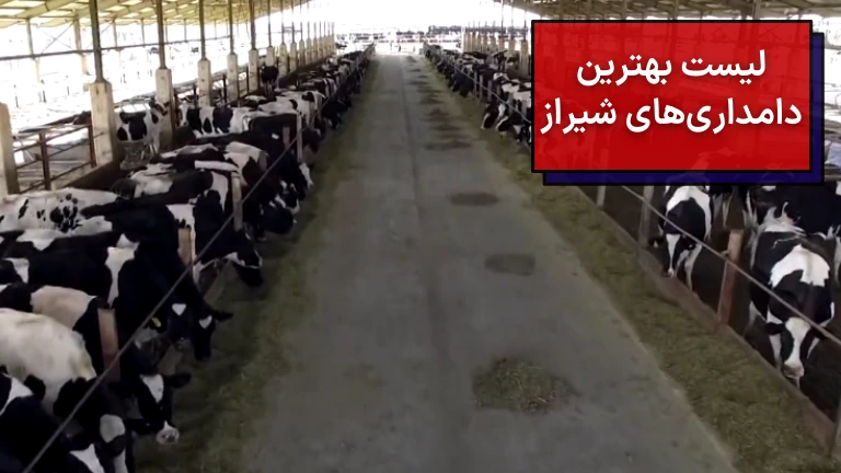 لیست بهترین دامداری های شیراز