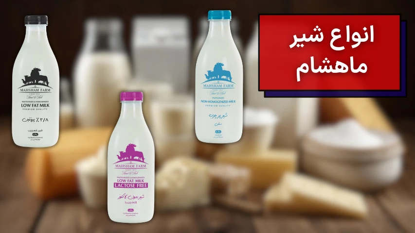 تصویری از شیرکم چرب، پرچرب و شیر بدون لاکتوز ماهشام