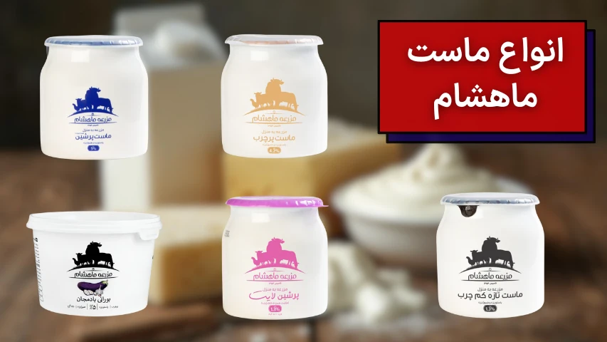 تصویری از انواع ماست ماهشام