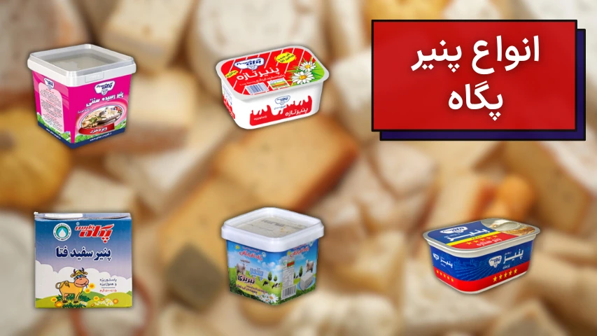 تصویری از انواع پنیر صبحانه پگاه