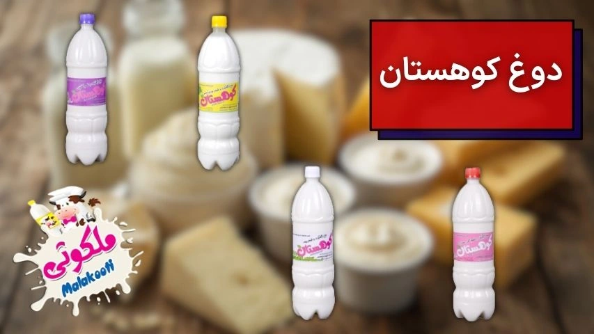 تصویری از انواع دوغ بطری شرکت تولید کننده دوغ کوهستان