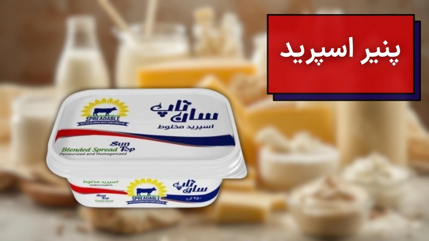 عکسی از پنیر اسپرید برای صبحانه